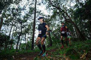 BIB: 
                            <button type="button" onclick="openModal(22569465)" class="btn btn-primary btn-sm float-right btn-popup" data-toggle="modal" data-target=".modal-high-quality">
                        <i class="fas fa-shopping-cart"></i> Add to Cart
                    </button>
                                            <button type="button" onclick="isThisMe(22569465, true)" class="btn btn-success btn-sm float-right btn-popup btn-isme hidden" data-toggle="tooltip" data-placement="bottom" title="นี่คือรูปของคุณใช่ไหม คลิกที่นี่เพื่อเอาเข้าอัลบั้ม">
                        <i class="fas fa-plus"></i> Add to album
                    </button>
                    <button type="button" onclick="isThisMe(22569465, false)" class="btn btn-warning btn-sm float-right btn-popup btn-isnotme hidden">
                        <i class="fas fa-ban"></i> Remove from album
                    </button>